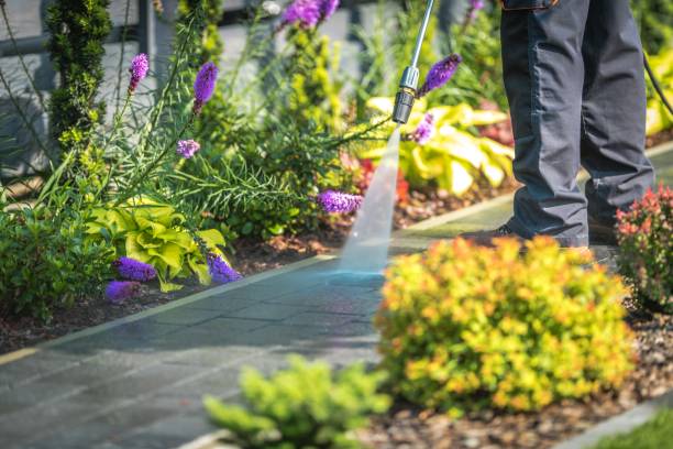 Best Sidewalk and Walkway Cleaning  in Covina, CA